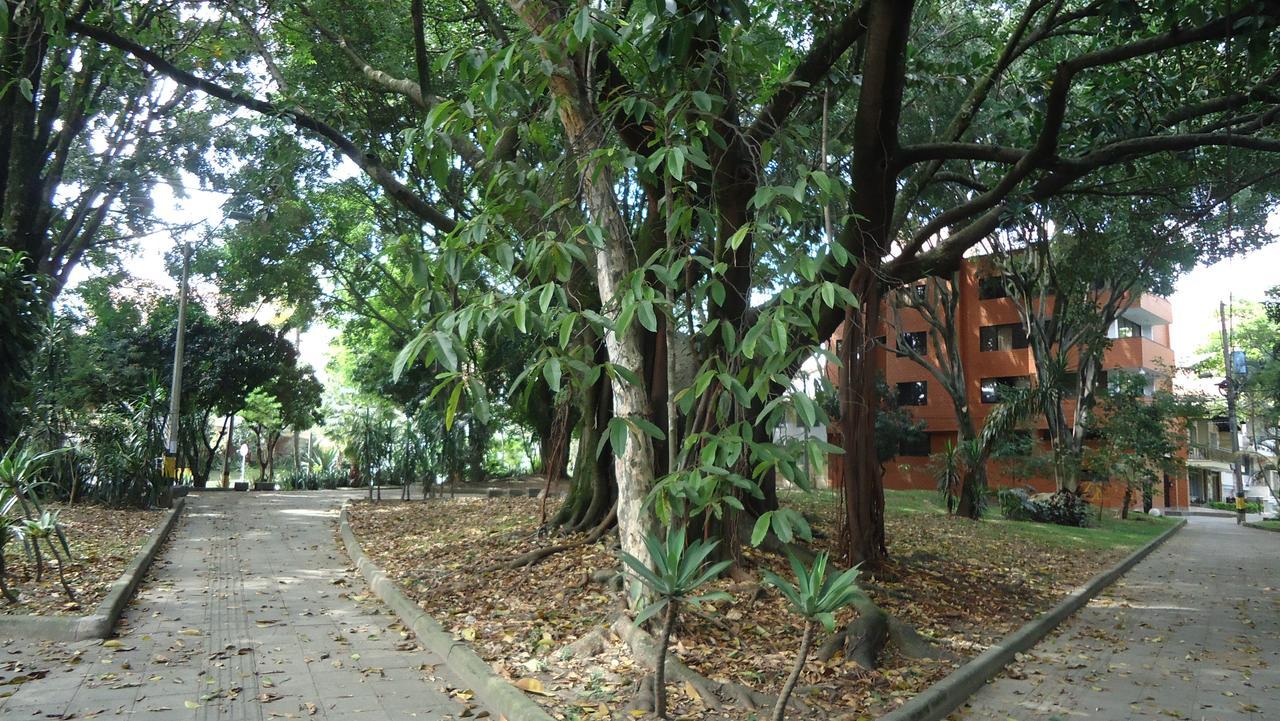 Iris Hostel Medellín Eksteriør billede